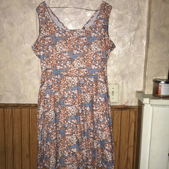 Multi color floral sleeveless fensace dress - Picture 1 of 6